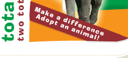 Make a difference - Adopt an animal