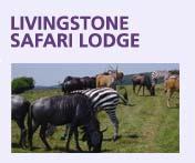 Events - Livingstone Lodge