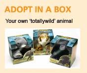 JAF - Adopt in a box