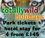 Totallywild Holidays PL Homepage