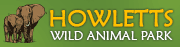 Howletts Wild Animal Park