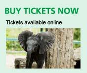 Howletts - Buy tickets online