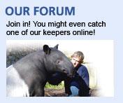 Our forum