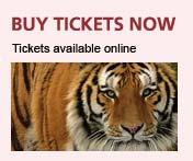 Port Lympne - Buy your tickets online now