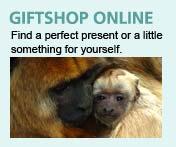 Online Gift Shop