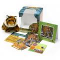 Adoption box - Tugar the Tiger